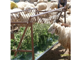  Травяная кормушка для овец металлическая